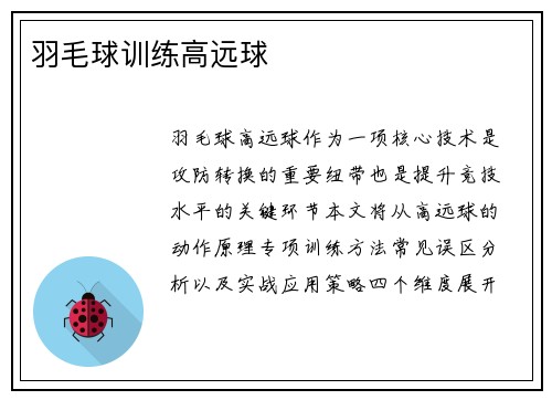 羽毛球训练高远球